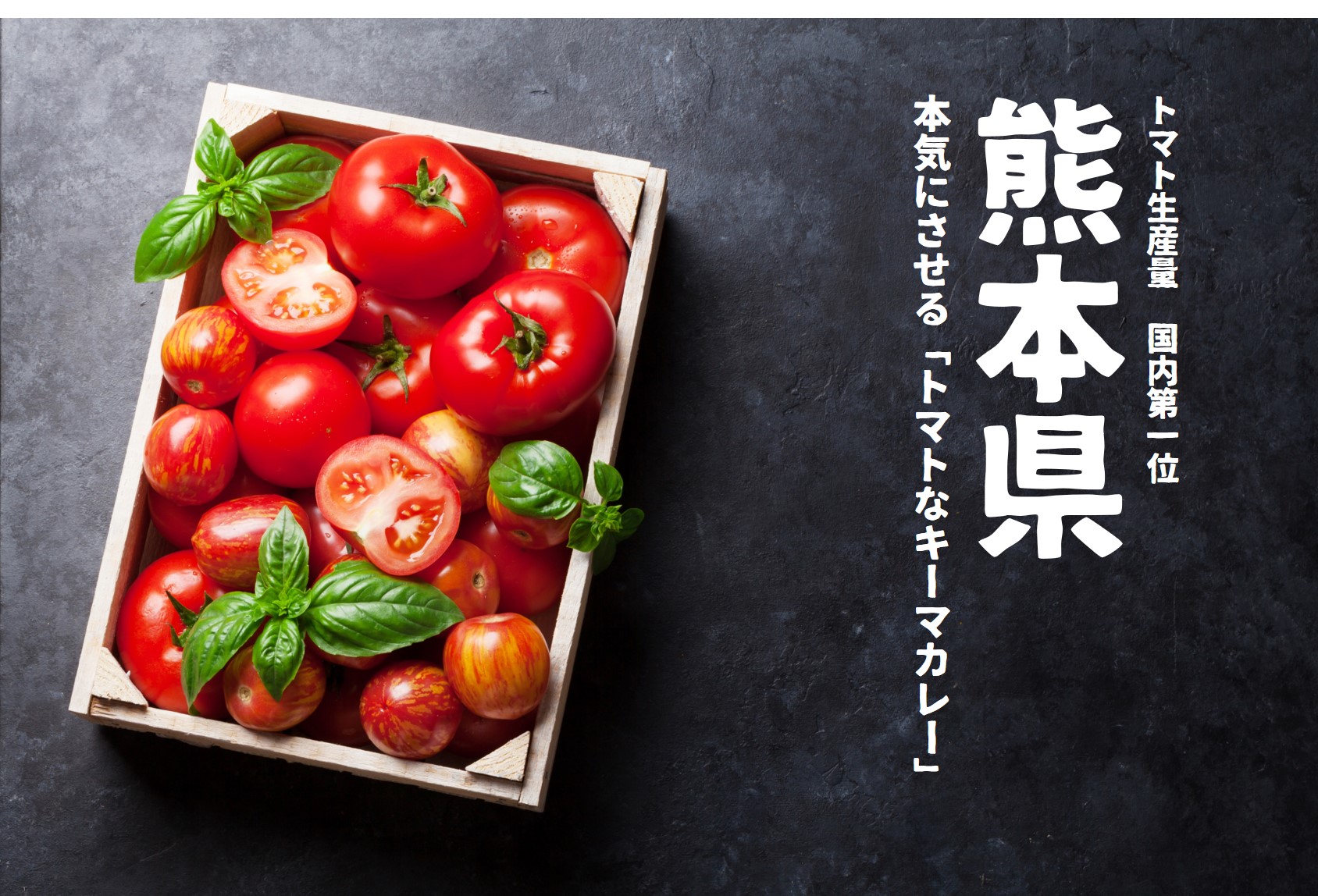 【Review】トマトと言えば熊本。意地こそ感じられた万能カレーソース!?